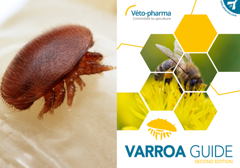 Varroa Guide New Edition
