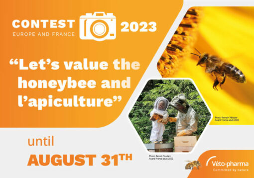 The 5th edition of the amateur photo contest “Let’s value honey bee and beekeeping” Véto-pharma opens its doors to Europe