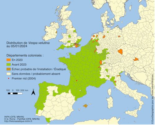 Mapping the Spread of Vespa Velutina