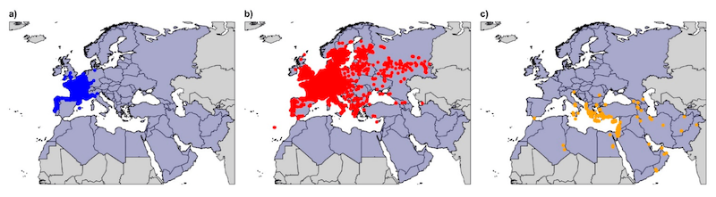 Répartition des frelons asiatiques