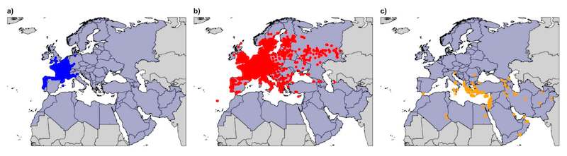 Distribution of Asian hornets