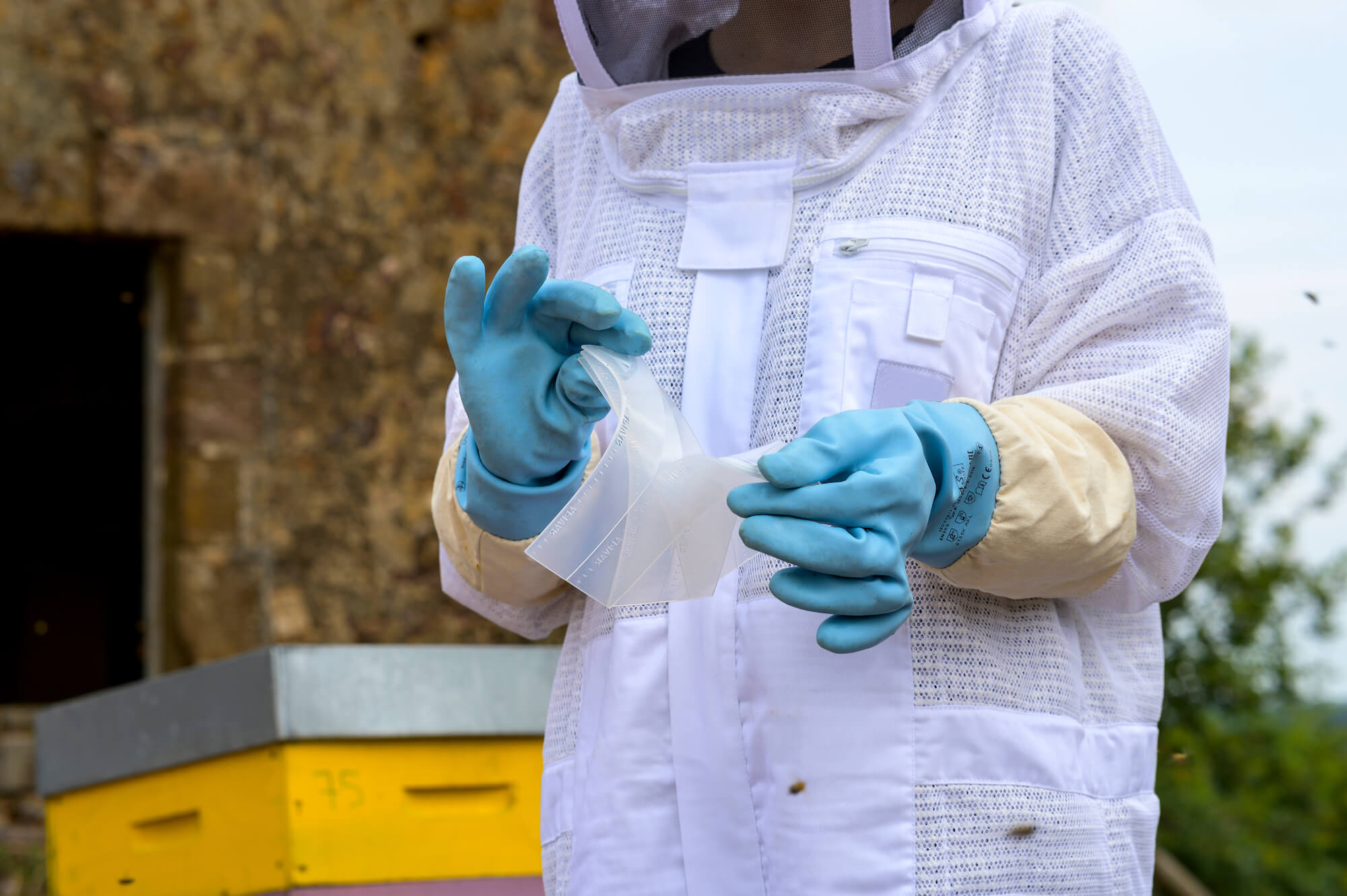 Traitement Varroa : Nouveaux formats Apivar® et nouvelle pré-découpe