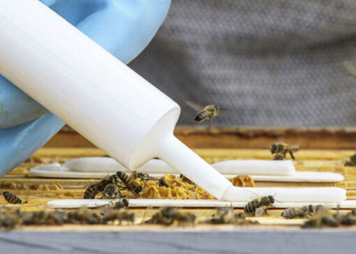 Amiflex® 2.0 – new varroa mite Flash treatment without RUP license