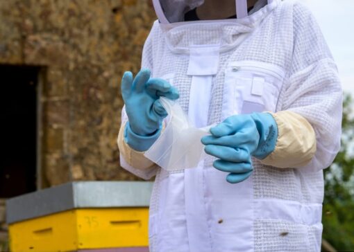 Varroa treatment: new Apivar® formats and new pre-cut design