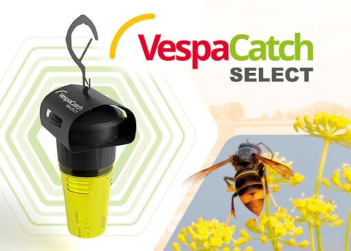 Field Evaluation of the VespaCatch Select Trap (Vétopharma) – Spring 2025