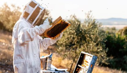 0-top-priorites-apiculteurs-printemps-770x540