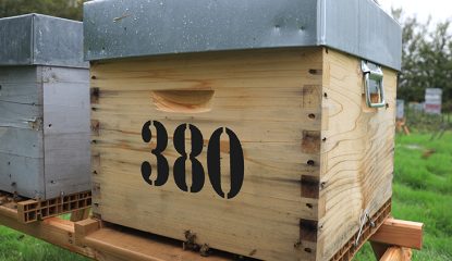 Rucher Véto-pharma : 80 nouvelles colonies pour la recherche contre Varroa