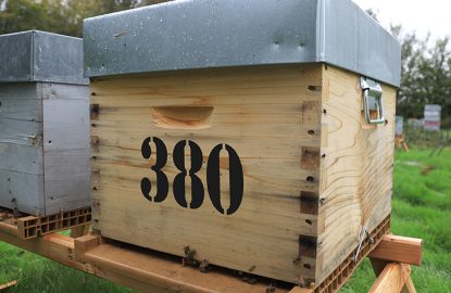 Véto-pharma apiary: 80 new colonies for Varroa Research