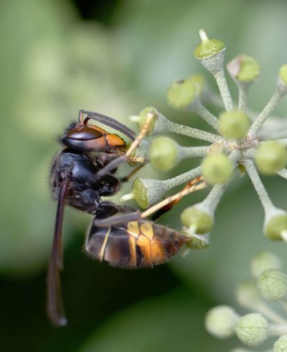 AdobeStock_427914239-770x540