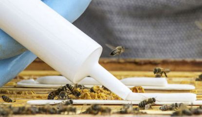 Produits Vetopharma et travail des ruches. Photographie par Thierry VINCENT.