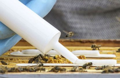 Produits Vetopharma et travail des ruches. Photographie par Thierry VINCENT.