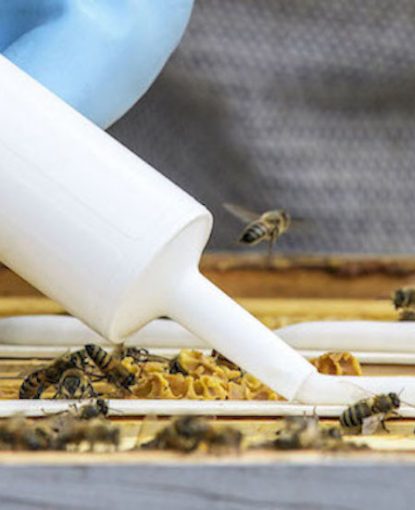 Produits Vetopharma et travail des ruches. Photographie par Thierry VINCENT.