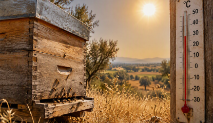 L'apiculture face aux canicules : comprendre et s'adapter (partie 1)