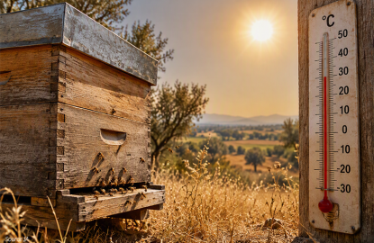 Beekeeping in the face of heatwaves: understanding and adapting (part 1)