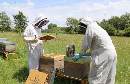 Les coulisses du rucher expérimental Véto-pharma 