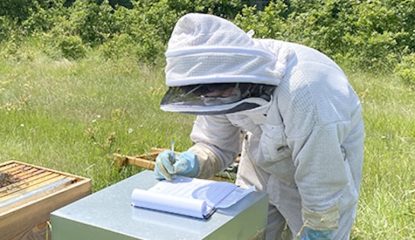 Une équipe, un rucher, une mission : innover pour la santé des abeilles