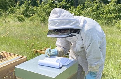 Un equipo, un colmenar, una misión: innovar para la salud de las abejas