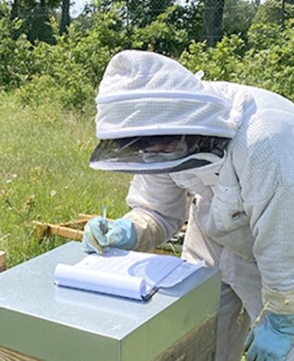 One team, 400 hives, one mission: innovating for bee health