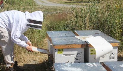 New treatment against Varroa mites: Véto-pharma and Simon Fraser University join forces