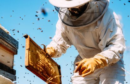 Beekeeper working collect honey. Beekeeping concept.