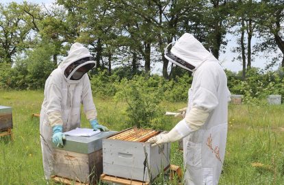 Desde las bambalinas de una prueba hasta el resultado final