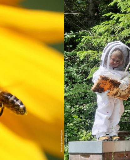 Edition 2024 du concours photo amateur « Valorisons l’abeille et l’apiculture » Véto-pharma