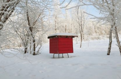 Preparing for Winter The Keys to Ensuring Honeybee Colony Survival