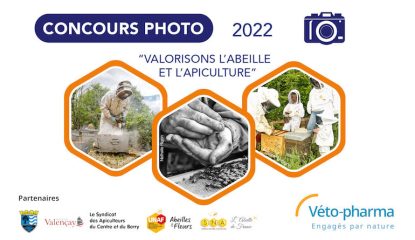 Tete-videos-2022-770x450