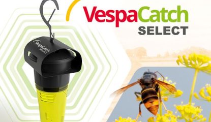 Évaluation terrain du piège VespaCatch Select (Vétopharma) – Printemps 2025