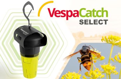 Évaluation terrain du piège VespaCatch Select (Vétopharma) – Printemps 2025