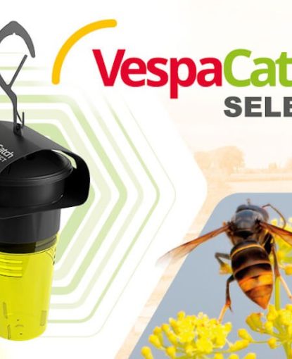 Évaluation terrain du piège VespaCatch Select (Vétopharma) – Printemps 2025