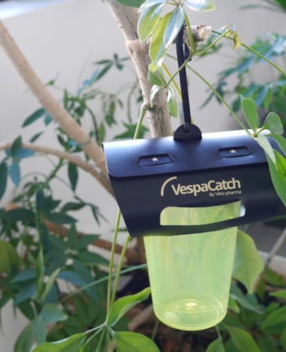 VespaCatch-new-trap-770x540