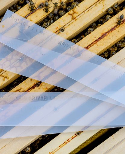 Traitement Varroa : Nouveaux formats Apivar® et nouvelle pré-découpe