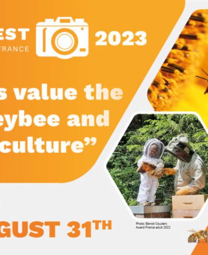Announcement of the winners of the photo contest France and Europe 2023
