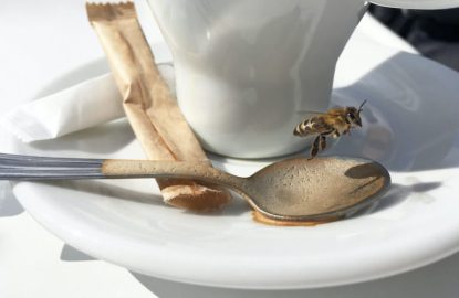 caffeine_boosts_honey_bees_defense_tinyfied-770x540