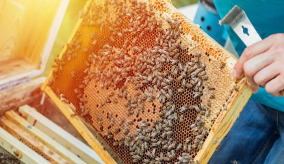 How to reduce the Impact of Residues when fighting against Varroa