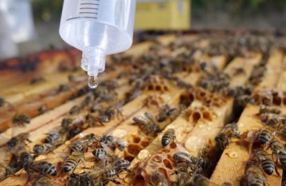 treating_against_varroa_with_oxalic_acid_in_summer-770x450